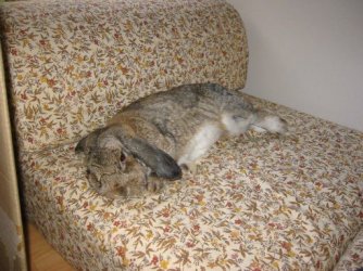 IMG_1998.jpg