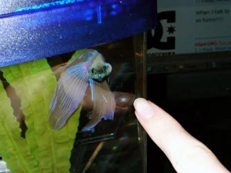 DSCN9430.webp