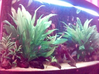 Picture_90_.webp