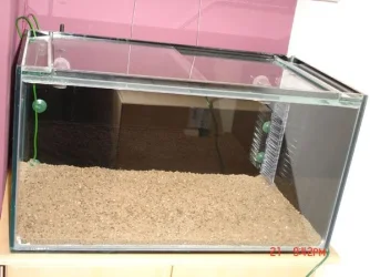 Fish_tank_equipment_038.webp