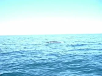 DSCF0472.webp