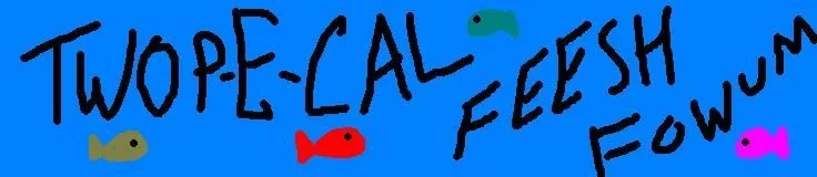 tff.webp