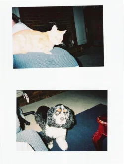 Taz_and_Butterscotch_2.webp