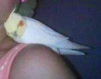 spudnik.webp