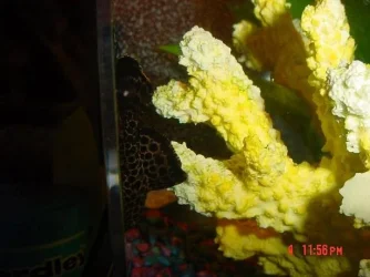 DSC02648res.webp