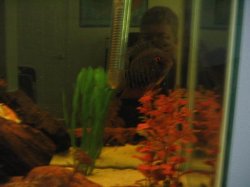 fish_005.jpg