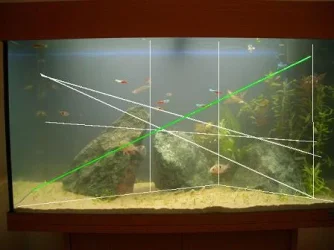 CIMG17512.webp