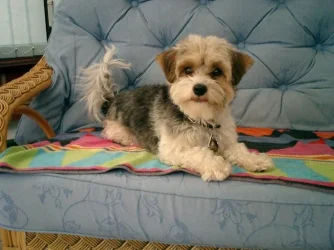 LilsPictures081.webp