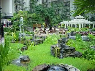 dsc00252.webp