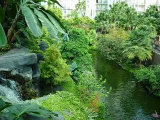 dsc00301.webp