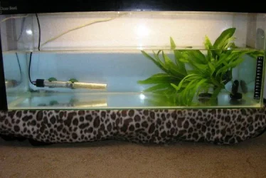 fry_grow_out_tank.webp