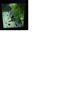 90c.webp