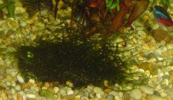 DSC02097.JPG