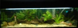 my_full_tank_1.JPG