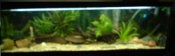 full_tank_2.JPG