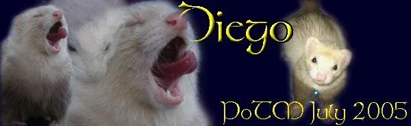 diego.webp