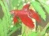 Web_George_8_6_05_nice.webp