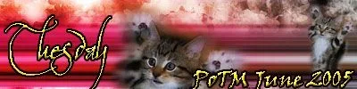 tuesday.webp