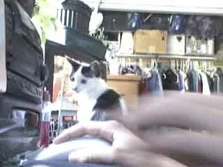 Picture_50.webp