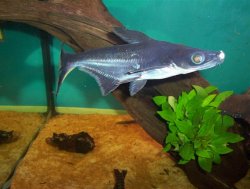 000_2347__Small_.JPG 000_2347__Small_.JPG