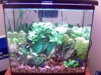 Undivided_15g.jpg Undivided_15g.jpg