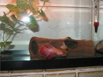 Captured_2005_9_9_00001.webp