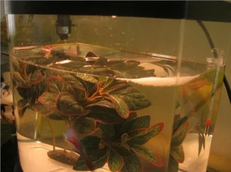 Captured_2005_9_9_00043.webp