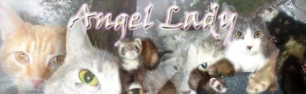 angel_lady.webp