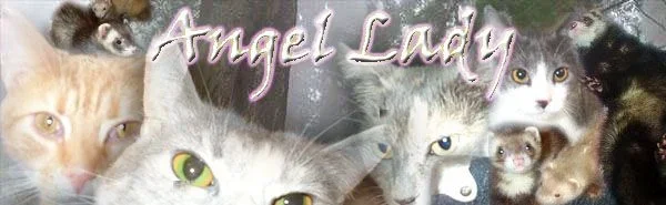 angel_lady.webp