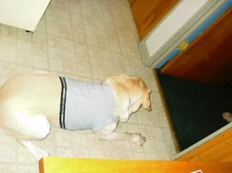 Test_004.webp