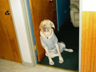 Test_002.webp