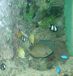 IMGP2417.webp