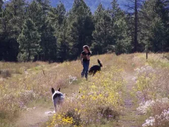 100_0773.webp