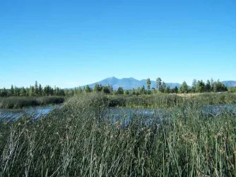100_0814.webp