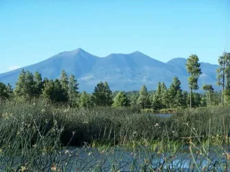100_0812.webp