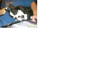 untitled.webp