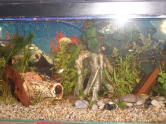 Imgp0731.jpg Imgp0731.jpg