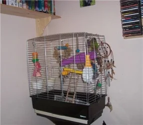 bedroom_cage.webp