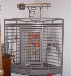 corner_cage.webp