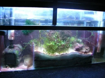 011005sump.webp