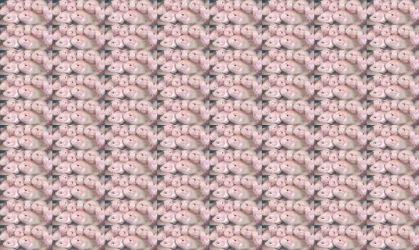 crazy.webp