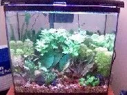 15gallon_Sept_01_2005.webp