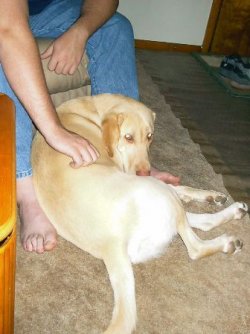 buddy2.jpg buddy2.jpg