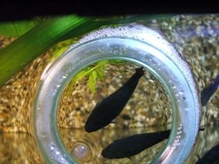 feeding_time.jpg feeding_time.jpg