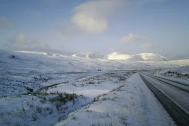 snow1.webp