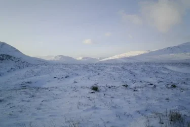 snow2.webp