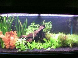 Image_010_.jpg Image_010_.jpg