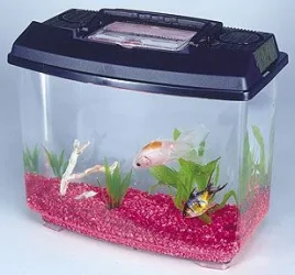 NWNewWorldTank.webp
