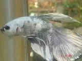 untitled.webp