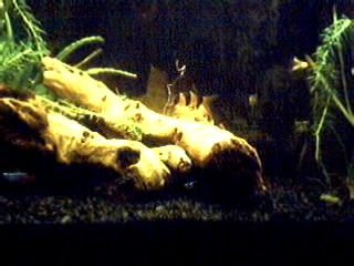 Picture_58.jpg Picture_58.jpg